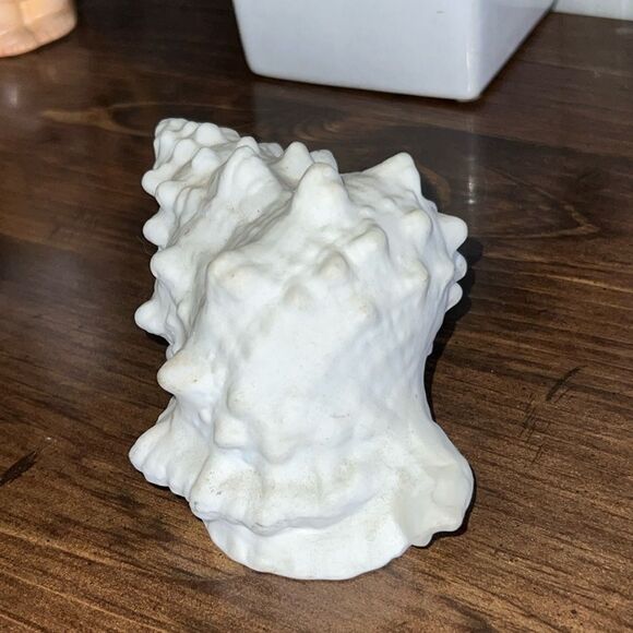 Small Bone China Seashell 4” - Picture 6 of 6